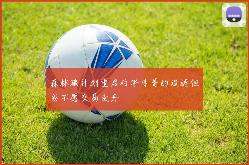 森林狼计划重启对字母哥的追逐但或不愿交易麦丹