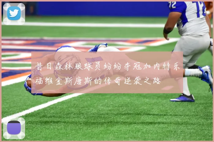 昔日森林狼球员纷纷夺冠加内特乐福维金斯唐斯的传奇逆袭之路