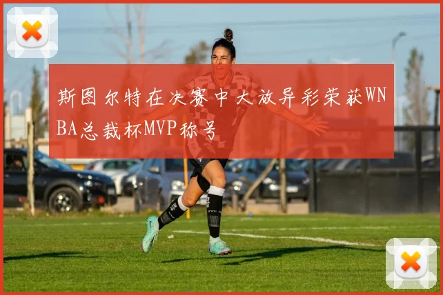 斯图尔特在决赛中大放异彩荣获WNBA总裁杯MVP称号